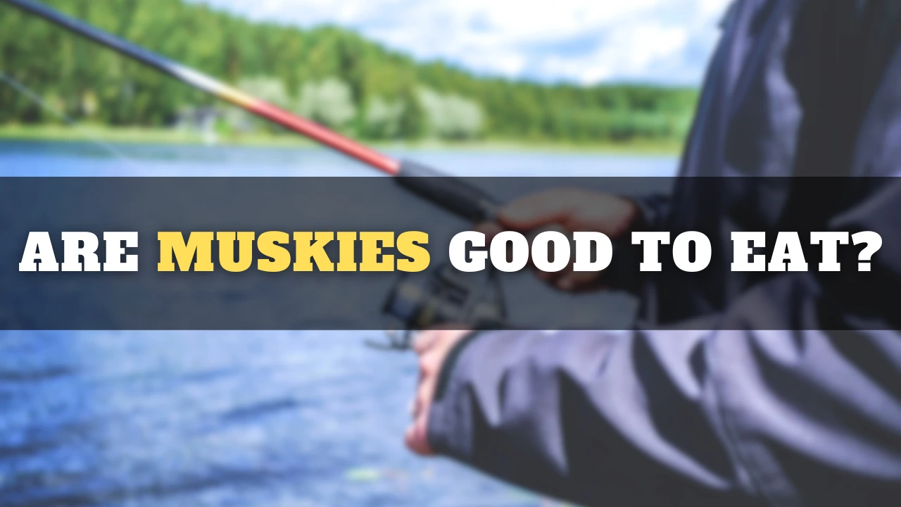 are muskie good to eat