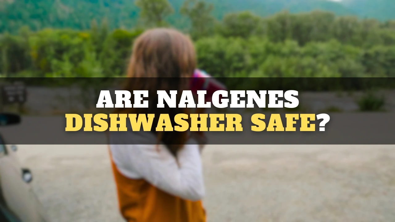 are nalgenes dishwasher safe